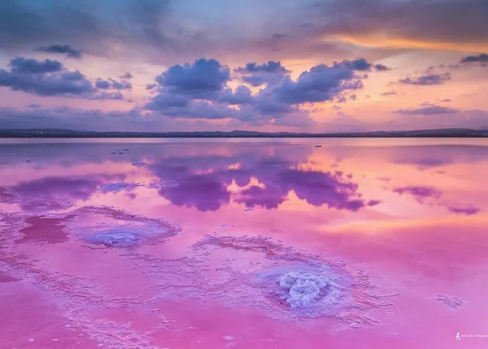 Atico En Calle Concordia, Cerca Playa Del Cura Apartment *