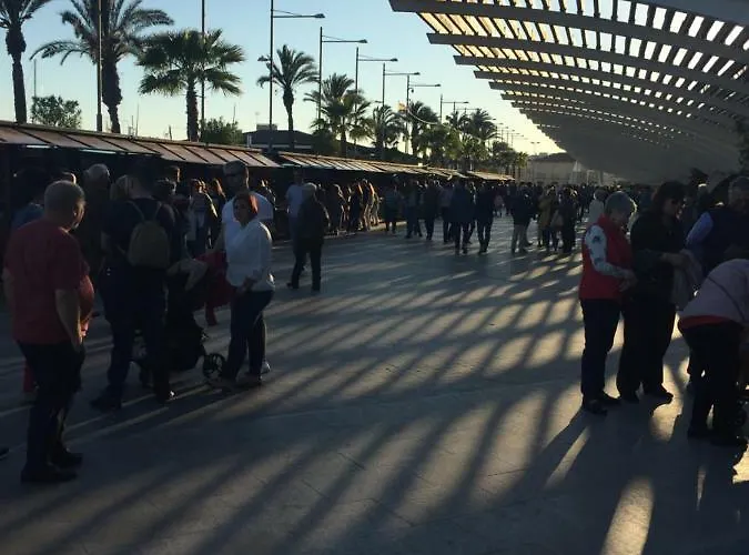 Atico En Calle Concordia, Cerca Playa Del Cura Apartment Torrevieja